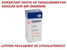 Gozu Iltihapli Yakalanamayan Kediler Icin Bir Cozum Onerisi Ukala Hayvan