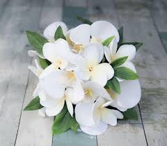 5 out of 5 stars. Plumeria Bouquet White Bouquet Ivory Bouquet Tropical Etsy Beach Wedding Flowers Beach Wedding Bouquets White Wedding Bouquets
