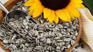 Pengguna yang memiliki catatan pinjaman yang baik akan berlaku langsung ke proses. Manfaat Makan Kuaci Bunga Matahari Untuk Kesehatan Wecare Id