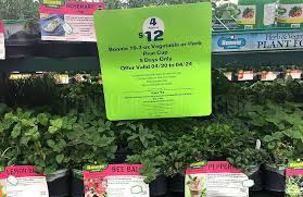 And planting my favorite herbs. Bonnie Non Gmo Vegetable Herb Plants Only 3 At Lowes