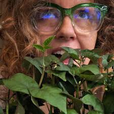 scented product alternatives?