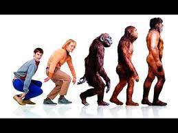 Dos Tontos Muy Tontos Cuando Harry Encontro A Lloyd Trailer Espanol Youtube