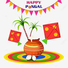 Pongal Graphic Makar Sankranthi Graphic Happy Pongal Makar Sankranthi Pongal Png Transparent Clipart Image And Psd File For Free Download In 2021 Pongal Images Happy Pongal Makar Sankranti Greetings