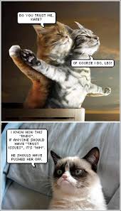 Pin On Funny