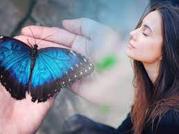 Significado Espiritual De Las Mariposas No Les Tengas Miedo La Verdad Noticias