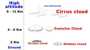 Here is a very simple step by step tutorial on how to draw a nose from the front view. Types Of Clouds Cirrus Cumulus Stratus Nimbus Upsc Ias Geography Youtube
