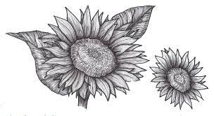 Pin On Holiday And Craft Ideas