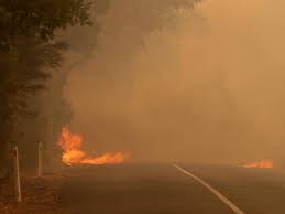 Fires are also thought to have destroyed up to a third of the vines that provide grapes for the adelaide hills wine industry. Sa Bushfires Continue Ahead Of Heatwave The Canberra Times Canberra Act