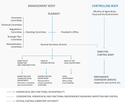 structure and organization chart consejo regulador doca