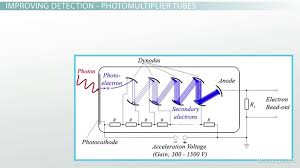 The excited electron may be observed through its contribution to the current. How Photomultiplier Tubes Array Detectors Work Video Lesson Transcript Study Com
