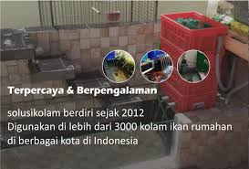 Dari seluruh sistem filter biologis. Solusi Kolam Solusi Praktis Sistem Filter Kolam Untuk Rumah Anda