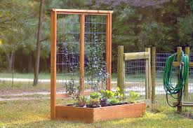 On a sheet of paper, sketch out your trellis, including dimensions. How To Build A Raised Bed And Trellis Hgtv