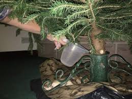 Does an aspirin in tree water do any good? How To Put Up A Christmas Tree Jackson S Nurseries