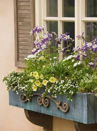 Plant Perennials In Containers Small Backyard Landscaping Container Gardening Backyard Landscaping
