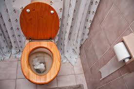 The average cost for a plumber to unclog a toilet is $100 to $275. How To Unclog Your Toilet Home Matters Ahs