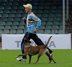 Intuitive fred888: Schutzhund training for Police types of larger dogs