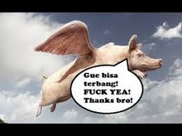 Suku kombai dokumentasi balai arkeologi jayapura bahan kulit kerang. Bakar Babi Terbang Rokes Mati Youtube