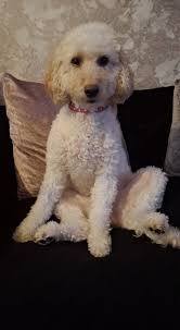 Madam, Please sits...like a women 😂😂