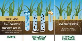 Before you get started, make sure the soil is. How To Aerate Your Lawn Milorganite