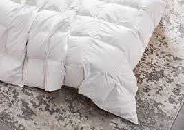 Il y en a des domestiques. Couette En Duvet De Canard Qualite Hotel 5 Etoiles Luxe Sofitel