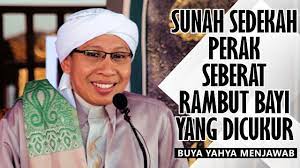 Untuk cara melebatkan rambut bayi maka anda bisa mencoba menggunakan pelembab alami. Sunnah Sedekah Perak Seberat Rambut Bayi Yang Dicukur Buya Yahya Menjawab Youtube