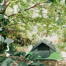Jan 08, 2021 · another camping option near garden of the gods is pine ridge campground at pounds hollow. 30 Camping Ideas In And Near Shawnee National Forest