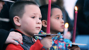 Police probe pesticide deaths