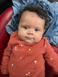 Hedgehog toy used for medicine administration