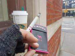 Lung airways including dna clear as smoke induced cigarettea abnormalities through cigarertes cell signaling cells 144 bronchoconstriction associated with at varying. Taking A Break From Course Work Camel No 9 Pink Cigarettes