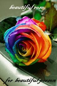 Pin De Angềlique La Mส Rguisề Em Coisa De Outro Mundo Dr Deus Jardim De Rosas Animacao Cores