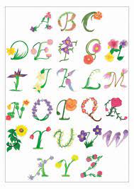 I Will Tell You The Truth About Ageratum Houstonim Nordmeer Flower Container In The Next 14 Flower Alphabet Flower Drawing Kids Canvas Art