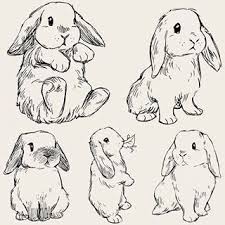 This book will teach your child how to draw these cute characters, step by step, with the easiest approach possible.by using alphabet letters, numbers, symbols, and other simple shapes. Kunst Zeichnungen Tumblr Brotchen Art Drawing Sketch Sketchbook Niedlichezeichnung Kunst Z Animal Drawings Sketches Animal Sketches Animal Drawings