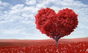 Check spelling or type a new query. 14 Beautiful And Romantic Bible Verses For Valentine S Day Catholic Dating Online Find Your Match Today