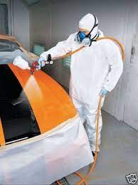 Cellulose is the main component of plant cell walls, so many plant derived products are cellulose based. 2 5l Cellulose High Gloss Clear Lacquer Car Paint Celly Varnish Cell Free Post