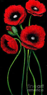 Red Poppies On Black By Christine Fanous Flower Art Painting Flowers Black Background Poppy Painting