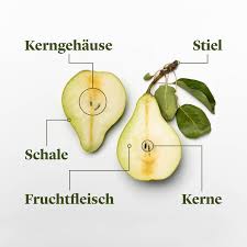 Ernten sie die bäume grundsätzlich komplett abernten. Jetzt In Saison Birnen Richtig Kaufen Lagern Und Zubereiten
