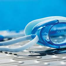 2019-20 swimming and diving area rosters