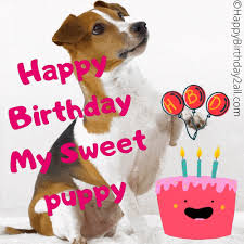 Happy birthday gifs download and share best happy birthday gif pictures for whatsapp friend and family from birthday animated gif pictures class. Birthday Wishes For Dog Puppy Pet Happy Birthday Dog Gif