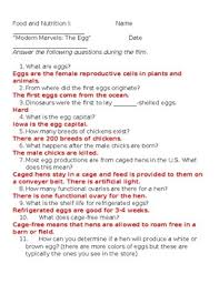 Modern Marvels The Egg By Jamie Minton Teachers Pay Teachers