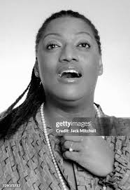 3,117 Jesse Mitchell Photos & High Res Pictures