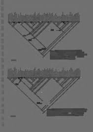 Image result for Ascolepis protea