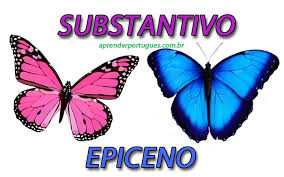 Resultado de imagem para genero do substantivo