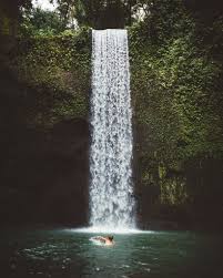 Side View Of Man Swimming In Clear Water Of Lake With Waterfall On Background Bali Stock Photo 4491 Waterfall Man Swimming Stock Photos