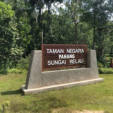 The alternative entry point to taman negara in pahang besides kuala tahan, is sungai relau. Taman Negara Merapoh Aussichtspunkt In Kuala Lipis