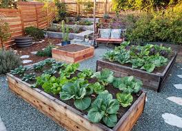 Either way, these raised garden beds are great no matter what you decide to plant 🙂 they are 6'x6′ garden beds with an extra section on the top in the middle. Choosing The Best Materials For Raised Garden Beds Homestead And Chill