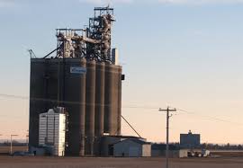 5401 50 avenue, in grimshaw. Viterra Officially Opens Grimshaw Grain Terminal World Grain Com June 02 2016 14 55