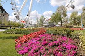 T a p e presents: South Bank London South Bank London