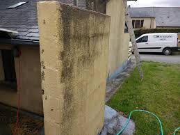 Comment enlever la verdure d'un mur extérieur? Nettoya Allo Christophe Bricolage Et Entretien De Jardin Facebook