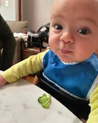 This morning mom and dad had pumpkin muffins in honor of The Muffin's 9th  month in the world. Meanwhile, The Muffin had broccoli, which is so far his  favorite vegetable. 🥦🥦🥦 Can't