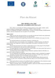 Plan De Afaceri Completat Frizerie Despre ViaÈ›a Din Romania
